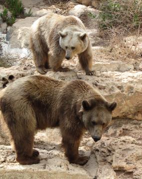 Daniel Young